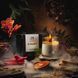 Collaboration Menuet (Spices) свічка ароматична M1026 фото 4